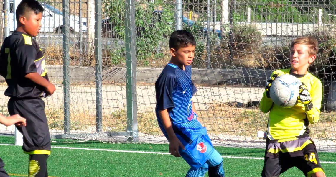 El club Ciaco se proclamó campeón del torneo Infantil del verano 2019